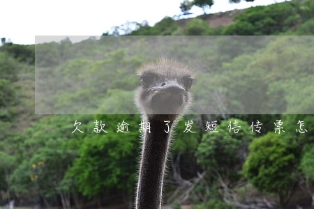 欠款逾期了发短信传票怎么办 欠款逾期了发短信传票怎么办
