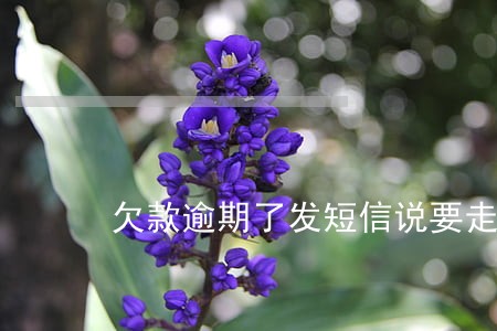 欠款逾期了发短信说要走访 欠款逾期了发短信说要走访