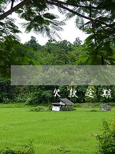 欠款逾期了可以申请停息么 欠款逾期了可以申请停息么