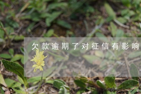 欠款逾期了对征信有影响不 欠款逾期了对征信有影响不