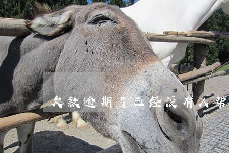 欠款逾期了已经没有人帮我了 欠款逾期了已经没有人帮我了