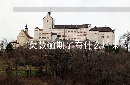 欠款逾期了有什么后果 欠款逾期了有什么后果