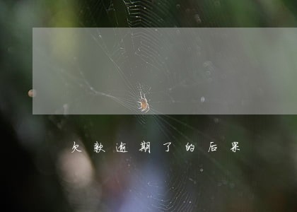 欠款逾期了的后果 欠款逾期了的后果