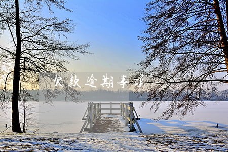 欠款逾期事项 欠款逾期事项