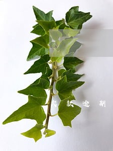 欠款逾期二十万经历 欠款逾期二十万经历