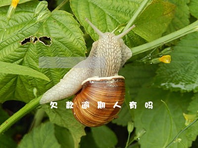 欠款逾期人有吗