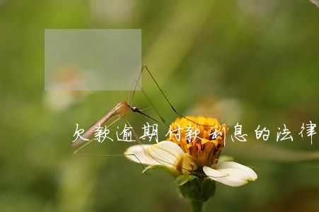 欠款逾期付款利息的法律规定