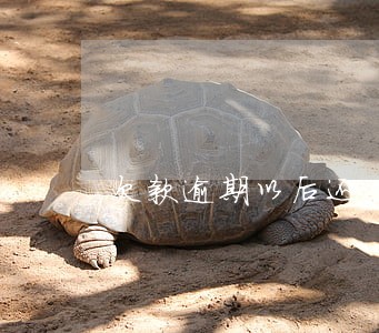 欠款逾期以后还 欠款逾期以后还