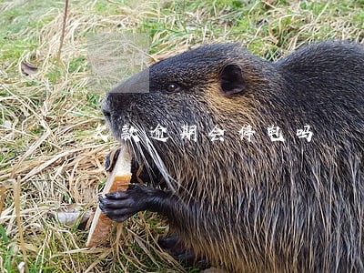 欠款逾期会停电吗 欠款逾期会停电吗
