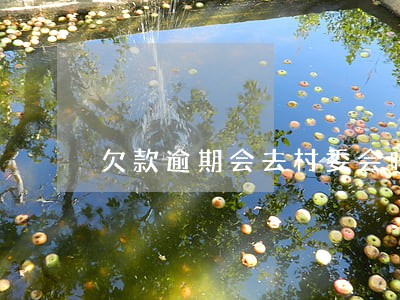 欠款逾期会去村委会吗