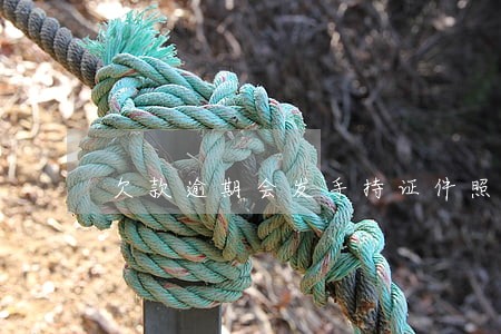 欠款逾期会发手持证件照么