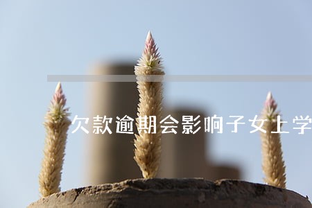 欠款逾期会影响子女上学吗 欠款逾期会影响子女上学吗