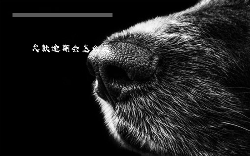 欠款逾期会怎么还 欠款逾期会怎么还