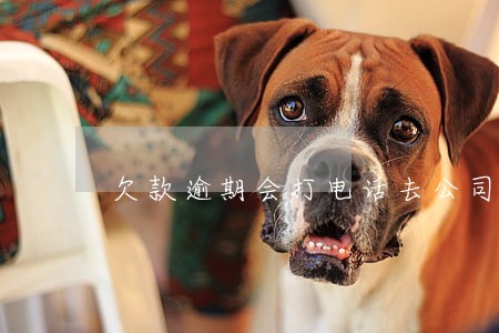 欠款逾期会打电话去公司吗 欠款逾期会打电话去公司吗