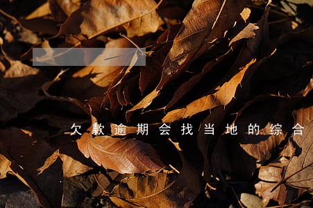 欠款逾期会找当地的综合办吗 欠款逾期会找当地的综合办吗