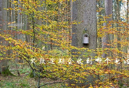 欠款逾期会收到哪个电话 欠款逾期会收到哪个电话