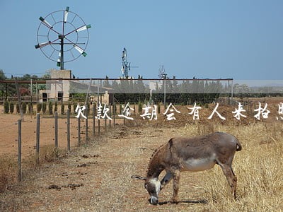 欠款逾期会有人来拍照房子吗