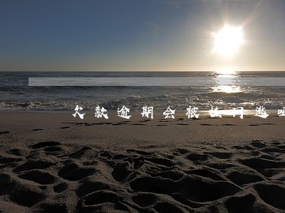 欠款逾期会被挂网逃吗 欠款逾期会被挂网逃吗