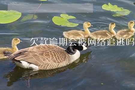 欠款逾期会被网络追逃吗 欠款逾期会被网络追逃吗