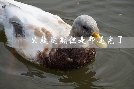 欠款逾期但是都还完了 欠款逾期但是都还完了