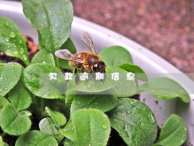 欠款逾期信息 欠款逾期信息