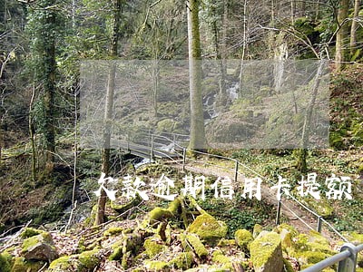 欠款逾期信用卡提额 欠款逾期信用卡提额