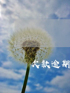 欠款逾期债务爆发以后记住这8条 欠款逾期债务爆发以后记住这8条