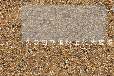 欠款逾期催收上门我应该怎么办