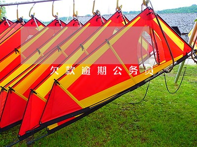 欠款逾期公务员 欠款逾期公务员