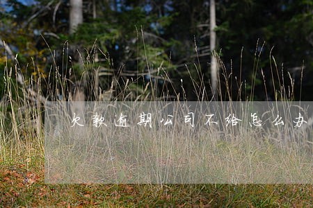 欠款逾期公司不给怎么办