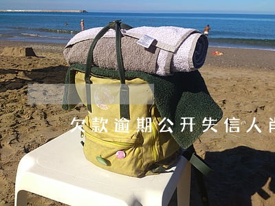 欠款逾期公开失信人肖像 欠款逾期公开失信人肖像
