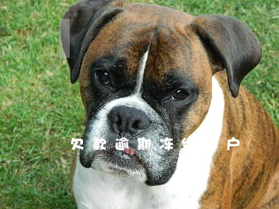 欠款逾期冻结账户 欠款逾期冻结账户