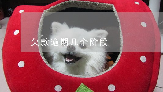 欠款逾期几个阶段 欠款逾期几个阶段