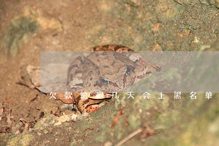 欠款逾期几天会上黑名单 欠款逾期几天会上黑名单