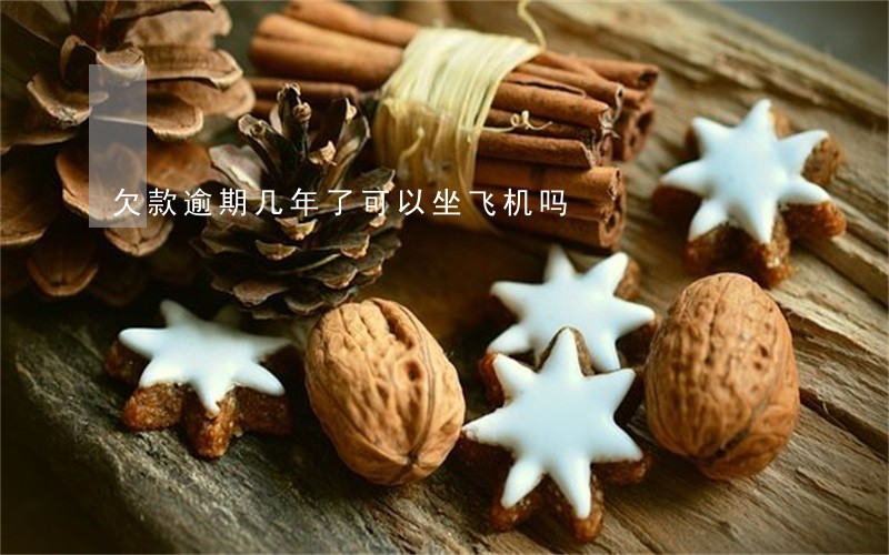 欠款逾期几年了可以坐飞机吗
