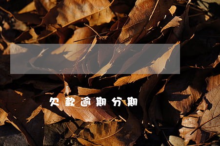 欠款逾期分期 欠款逾期分期
