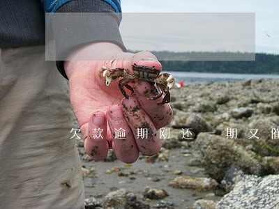 欠款逾期刚还一期又催 欠款逾期刚还一期又催