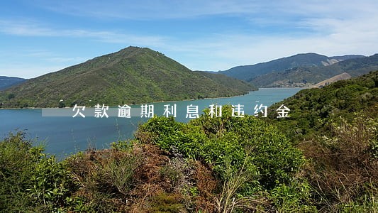 欠款逾期利息和违约金 欠款逾期利息和违约金
