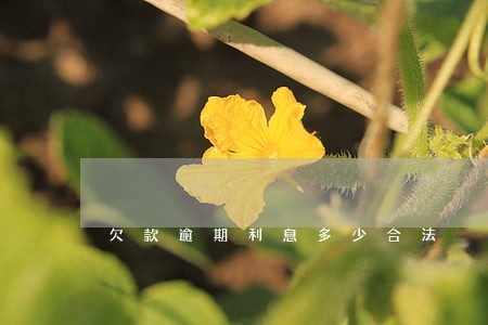 欠款逾期利息多少合法 欠款逾期利息多少合法