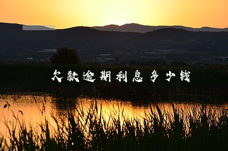 欠款逾期利息多少钱 欠款逾期利息多少钱