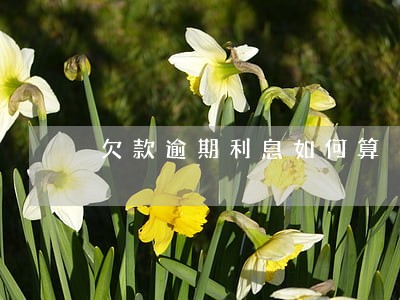 欠款逾期利息如何算