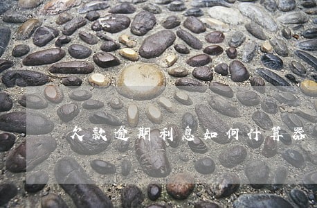 欠款逾期利息如何计算器
