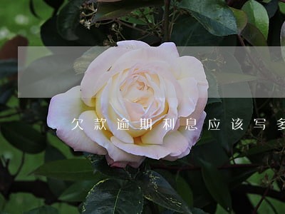欠款逾期利息应该写多少 欠款逾期利息应该写多少