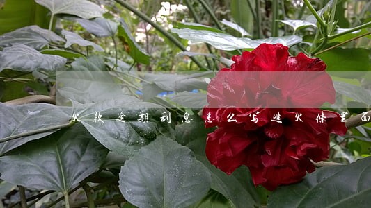欠款逾期利息怎么写进欠条里面 欠款逾期利息怎么写进欠条里面