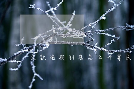 欠款逾期利息怎么计算民法典 欠款逾期利息怎么计算民法典