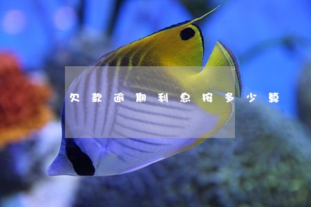 欠款逾期利息按多少算 欠款逾期利息按多少算