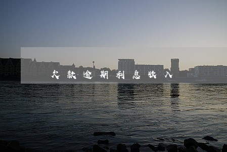 欠款逾期利息收入