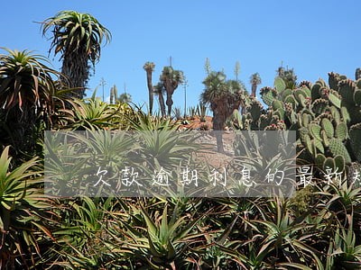 欠款逾期利息的最新规定 欠款逾期利息的最新规定