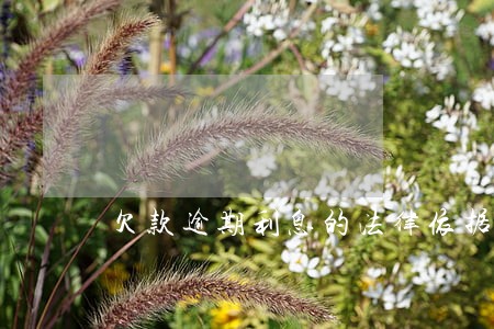 欠款逾期利息的法律依据 欠款逾期利息的法律依据