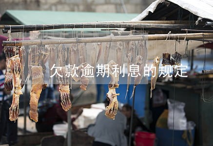 欠款逾期利息的规定